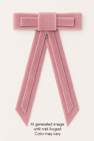 Rebecca Velvet Clip - Rose