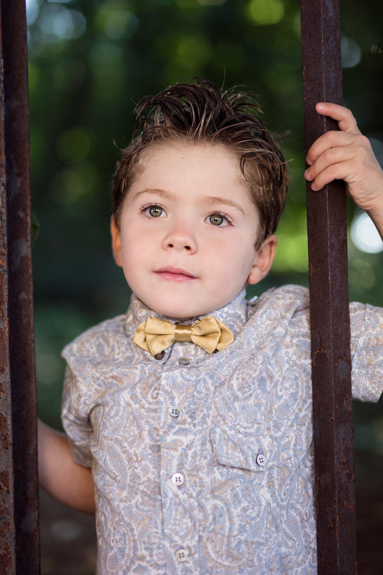 Petit Bowtie - Gold