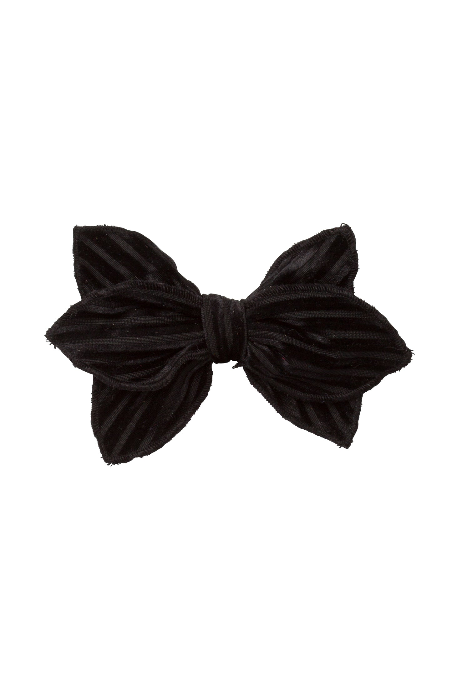 Growing Orchid Clip - Black Velvet Stripe